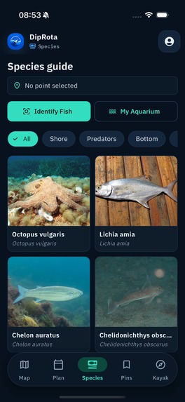 DipRota – screenshot 8