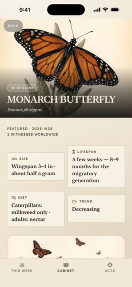 Witness-Endangered Species – screenshot 9