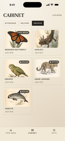 Witness-Endangered Species – screenshot 12