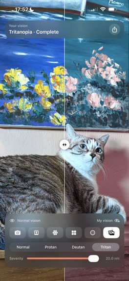 See as Me: Colorblind – screenshot 7
