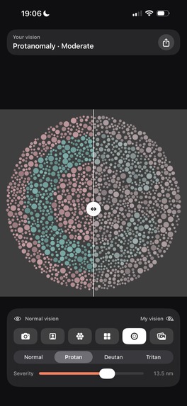 See as Me: Colorblind – screenshot 5
