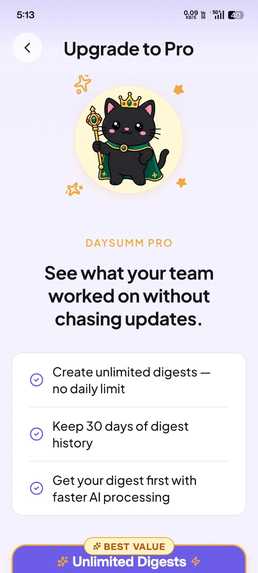 DaySumm – screenshot 7