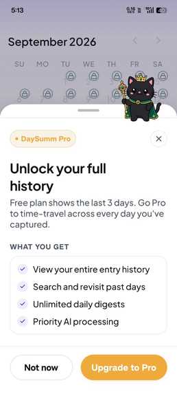 DaySumm – screenshot 6