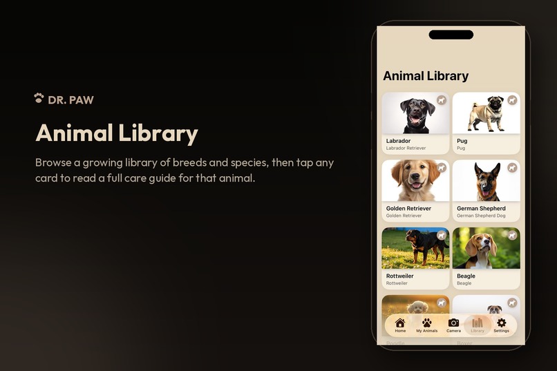 Dr.Paw – screenshot 4