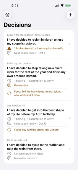 Decisions Diary – screenshot 2