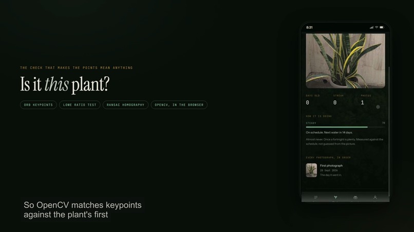 RootedPlants.Ai – screenshot 2