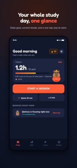 Capi: Focus & Study Timer – screenshot 3