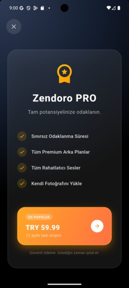 Zendoro – screenshot 4
