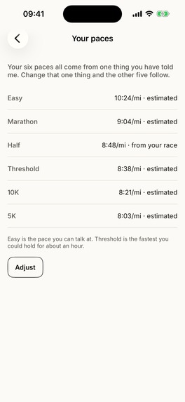 Allyson Run – screenshot 4