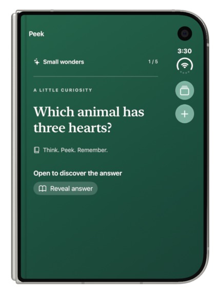Duo Peek – screenshot 1
