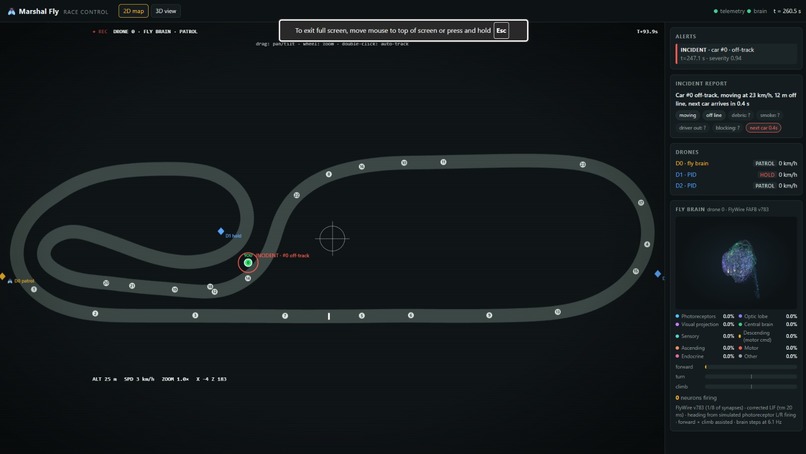Fly Marshal – screenshot 4