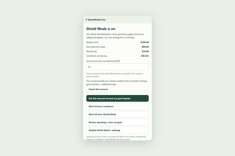 SpendShield – screenshot 5