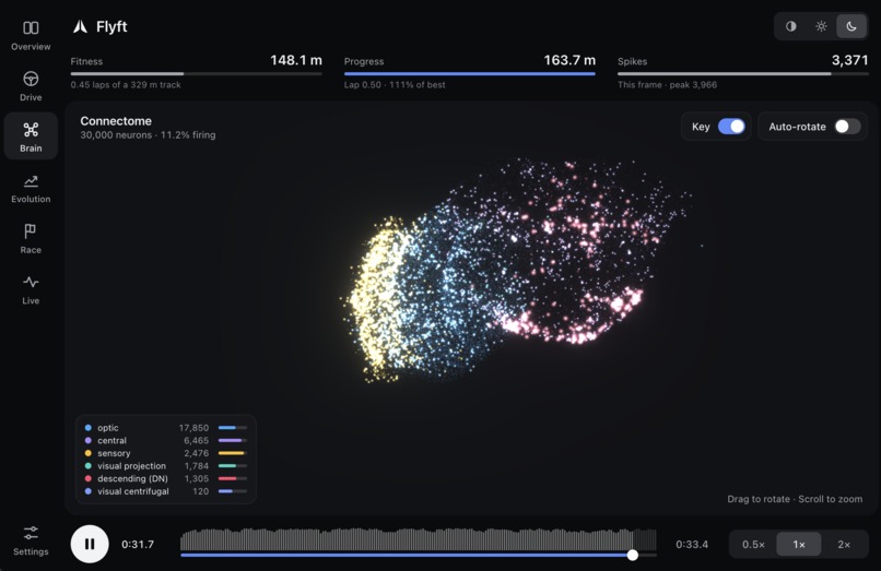 Flyft – screenshot 3