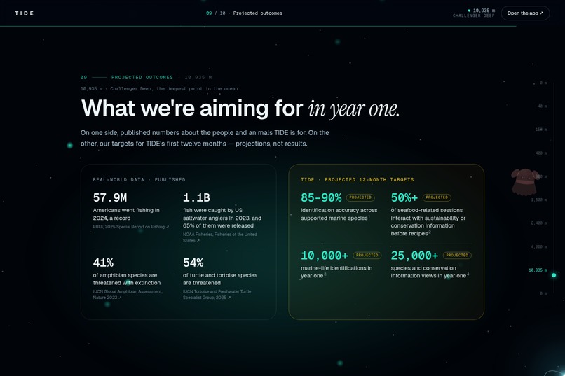 TIDE: Keep it or let it go? – screenshot 1