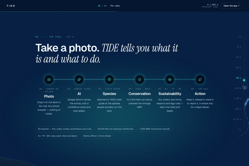 TIDE: Keep it or let it go? – screenshot 2