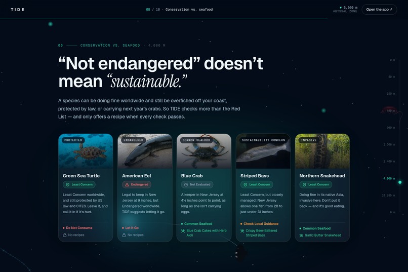 TIDE: Keep it or let it go? – screenshot 4