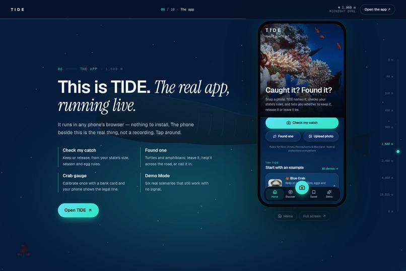 TIDE: Keep it or let it go? – screenshot 5