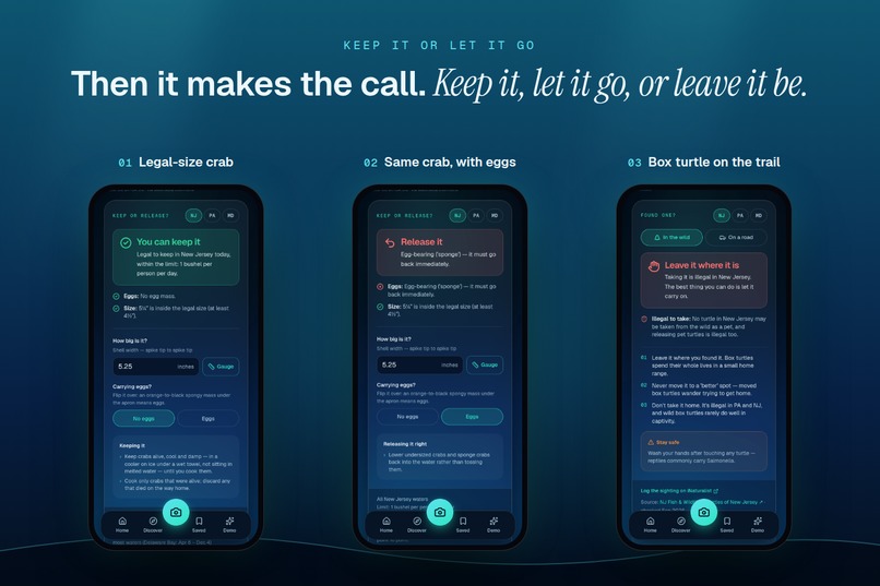 TIDE: Keep it or let it go? – screenshot 7