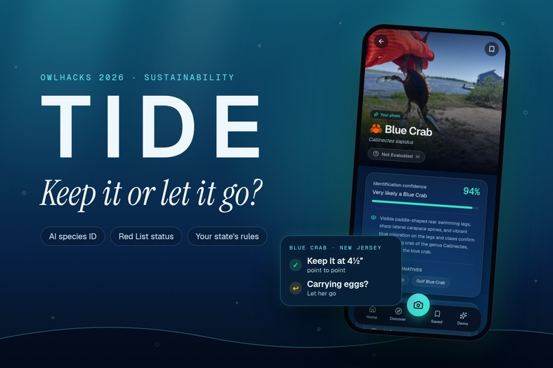 TIDE: Keep it or let it go? – screenshot 8