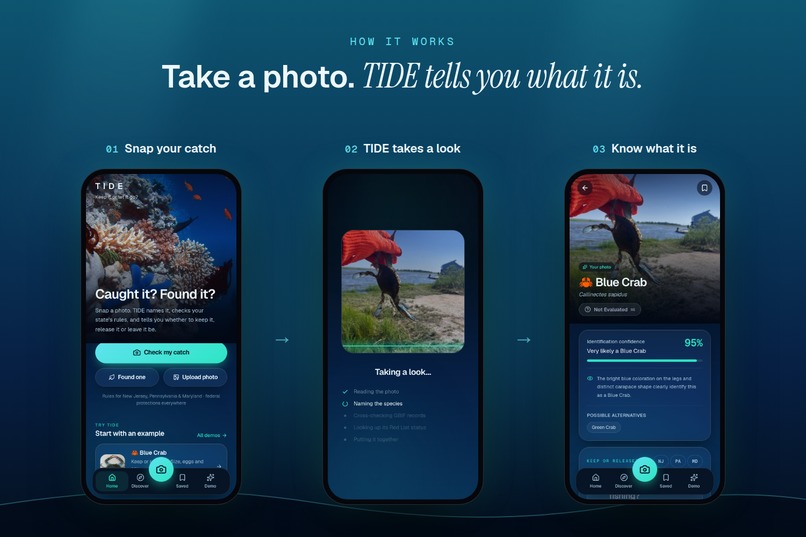 TIDE: Keep it or let it go? – screenshot 9