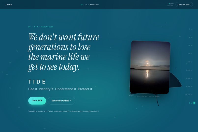 TIDE: Keep it or let it go? – screenshot 10