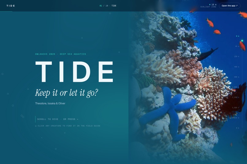 TIDE: Keep it or let it go? – screenshot 11