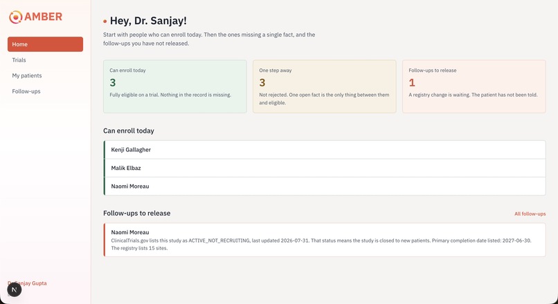 Amber – screenshot 1