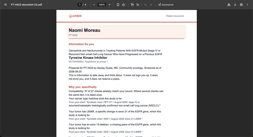 Amber – screenshot 5