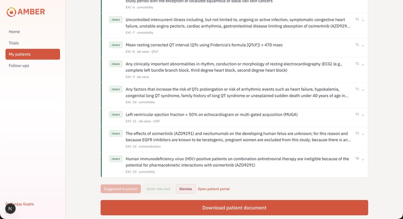 Amber – screenshot 4