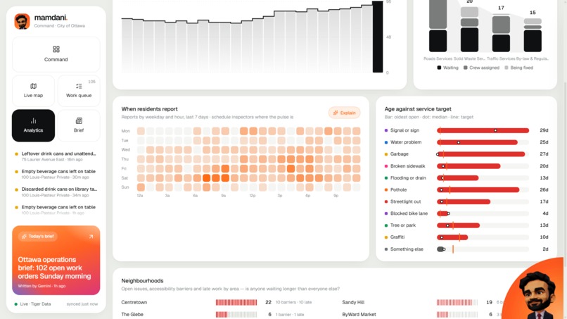 Mamdani – screenshot 4
