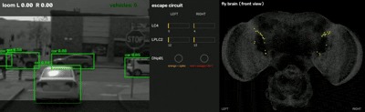 I Fly – screenshot 2