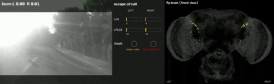 I Fly – screenshot 3