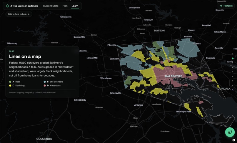A Tree Grows in Baltimore – screenshot 4