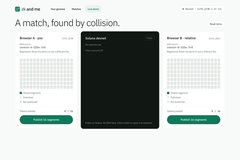 ZK and Me – screenshot 5