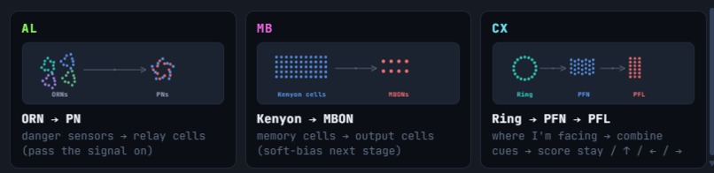 Beat-the-fly – screenshot 6