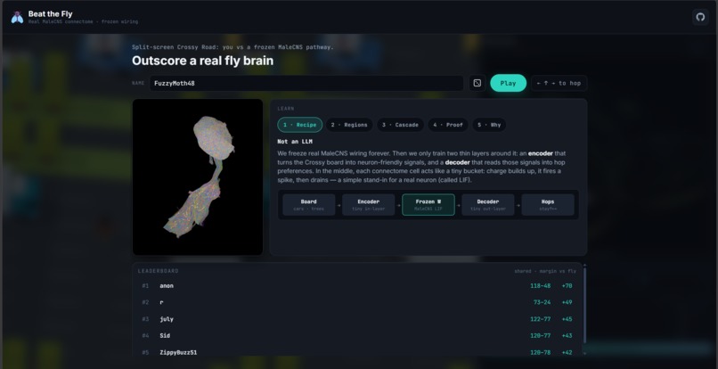 Beat-the-fly – screenshot 1