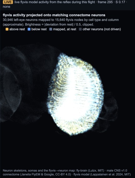 FlyBy – screenshot 3