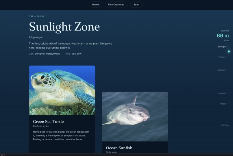 Identi Ocean  – screenshot 2