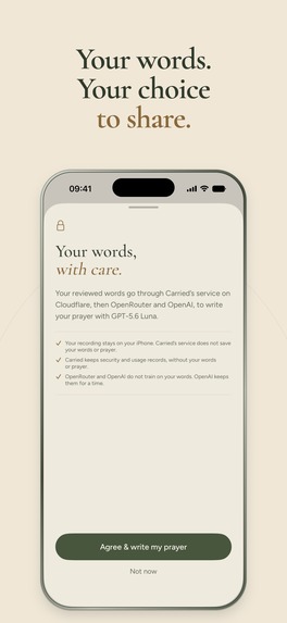 Carried – screenshot 4
