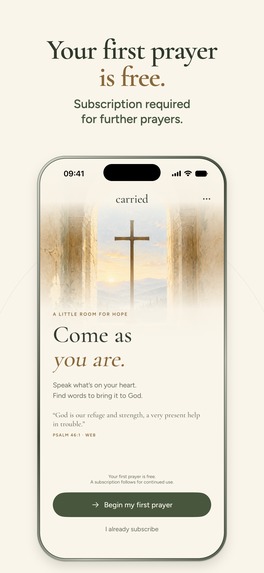 Carried – screenshot 6