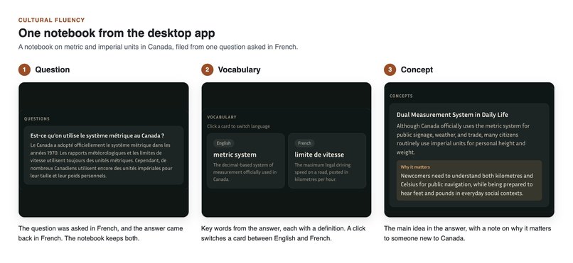 Beaver – screenshot 4
