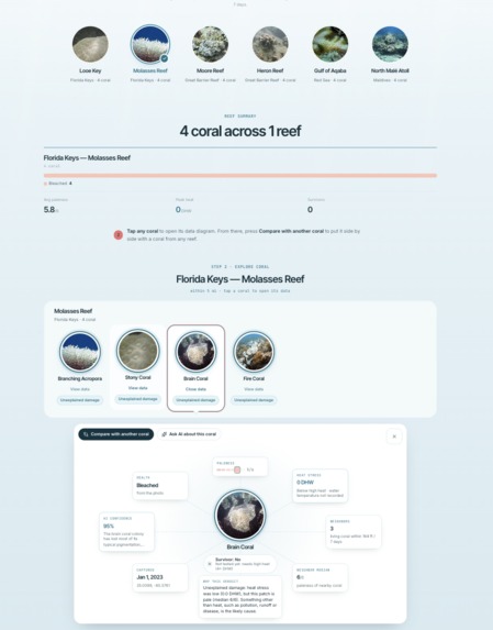 Reefwatch – screenshot 8