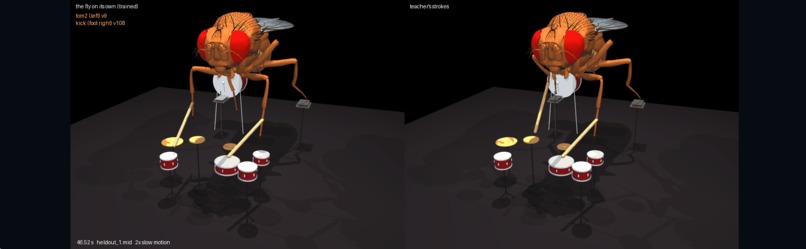ThisFlyPlaysDrums – screenshot 1