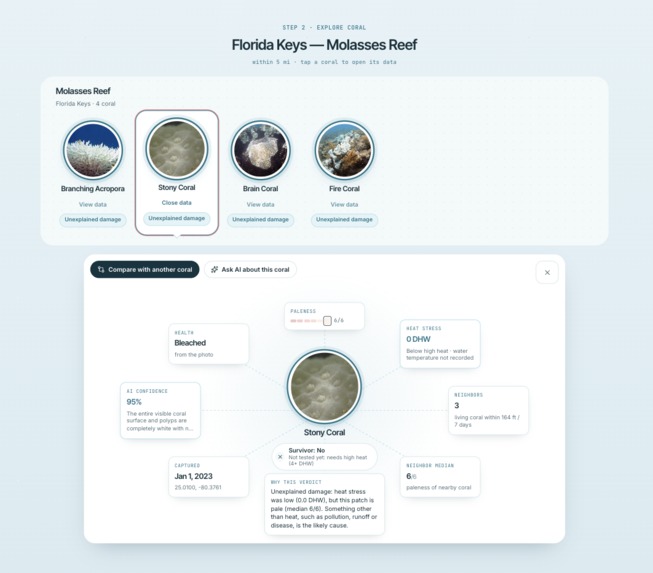 Reefwatch – screenshot 9