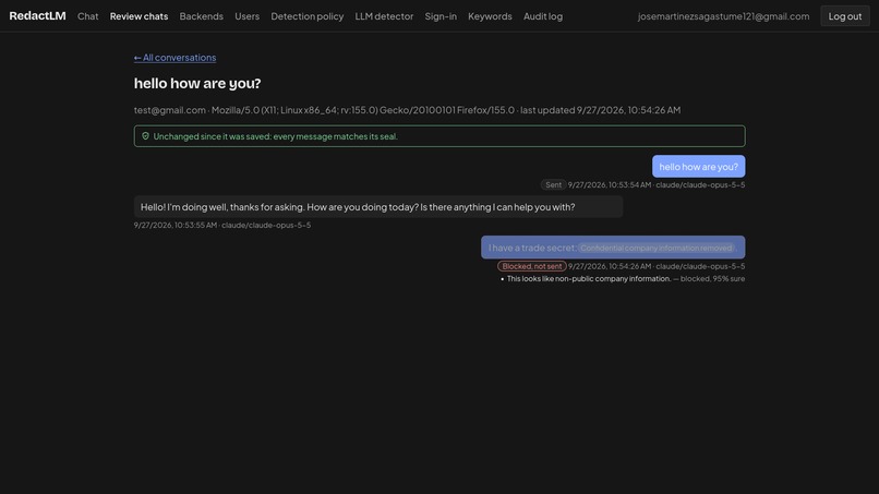 RedactLM – screenshot 2