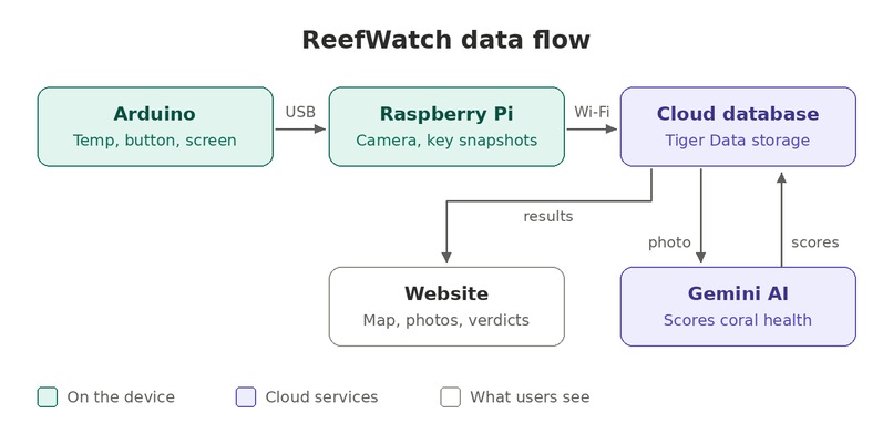 Reefwatch – screenshot 13