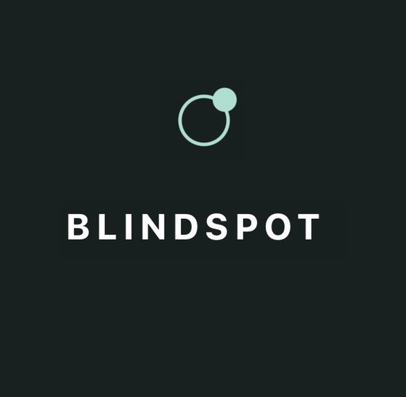 BlindSpot – screenshot 1