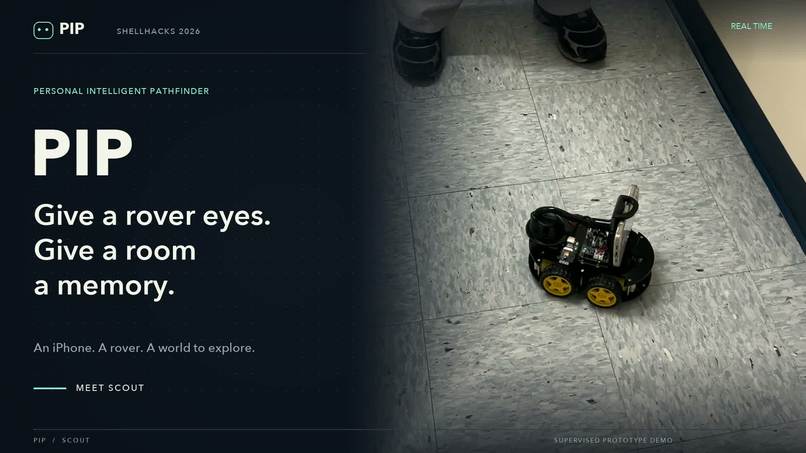 PIP - Personal Intelligent Pathfinder – screenshot 1