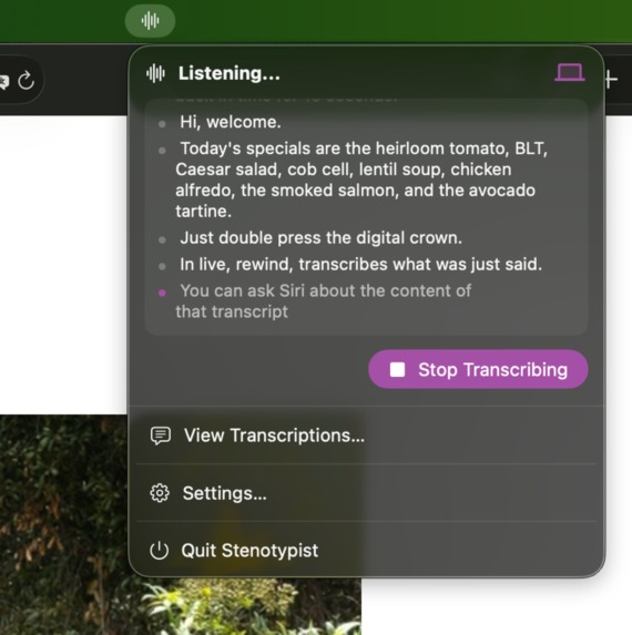 Stenotypist: local AI transcriber – screenshot 3