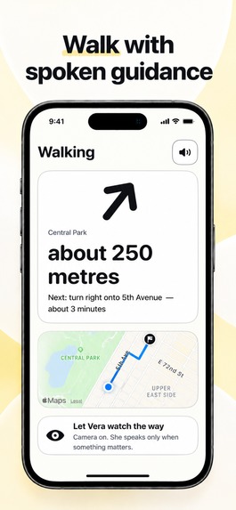 Vera: Visual Assistant – screenshot 3